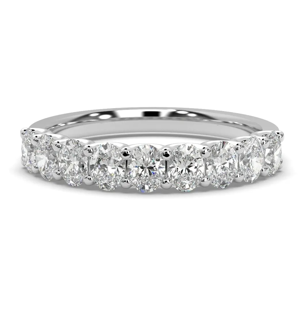 Ring 100.1